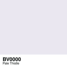 BV0000-PaleThistle