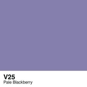 V25-PaleBlackberry