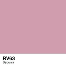 RV63-Begonia