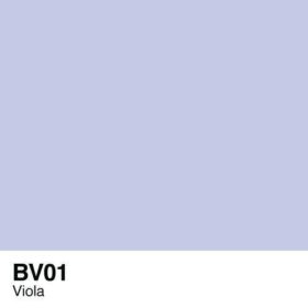 BV01-Viola