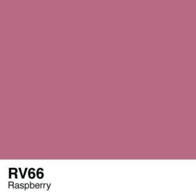 RV66-Raspberry
